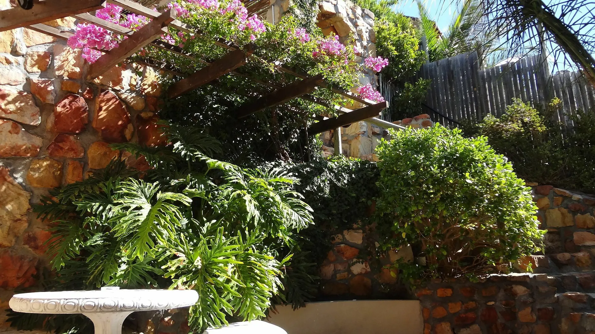 African Violet Guest Suites Noordhoek