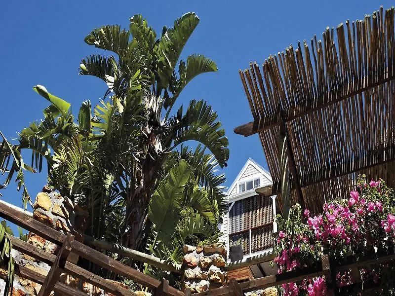 African Violet Guest Suites Noordhoek Apartment