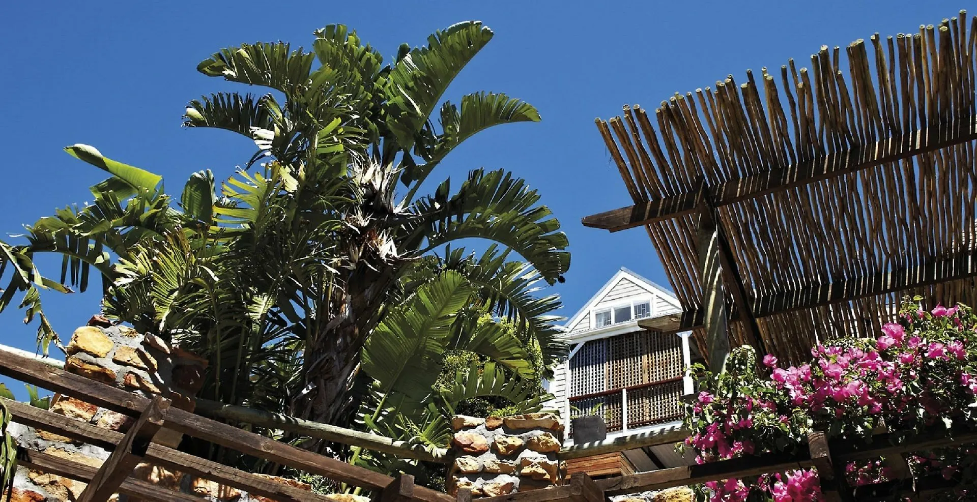 African Violet Guest Suites Noordhoek