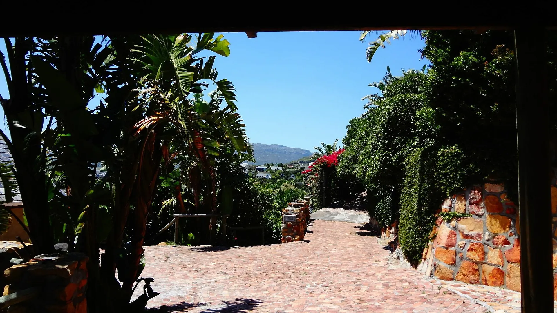 African Violet Guest Suites Noordhoek 0*,